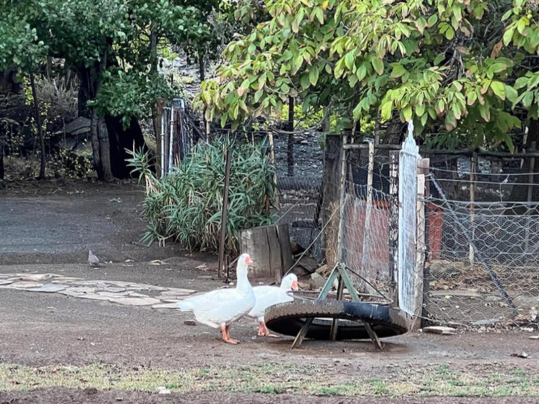 Rooikloof Guest Farm Lodge