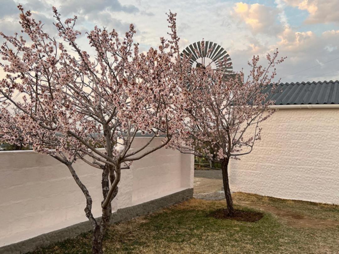 Rooikloof Guest Farm * Sutherland