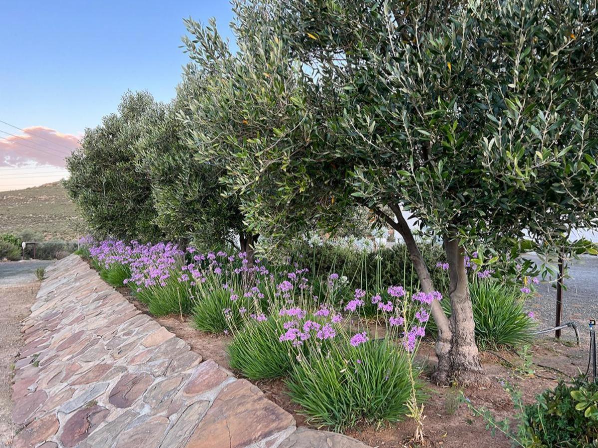 Rooikloof Guest Farm Lodge